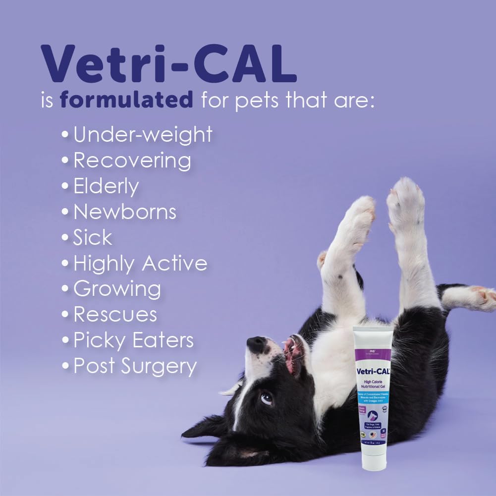 High Calorie Nutritional Gel for Dogs and Cats 5 oz H36921
