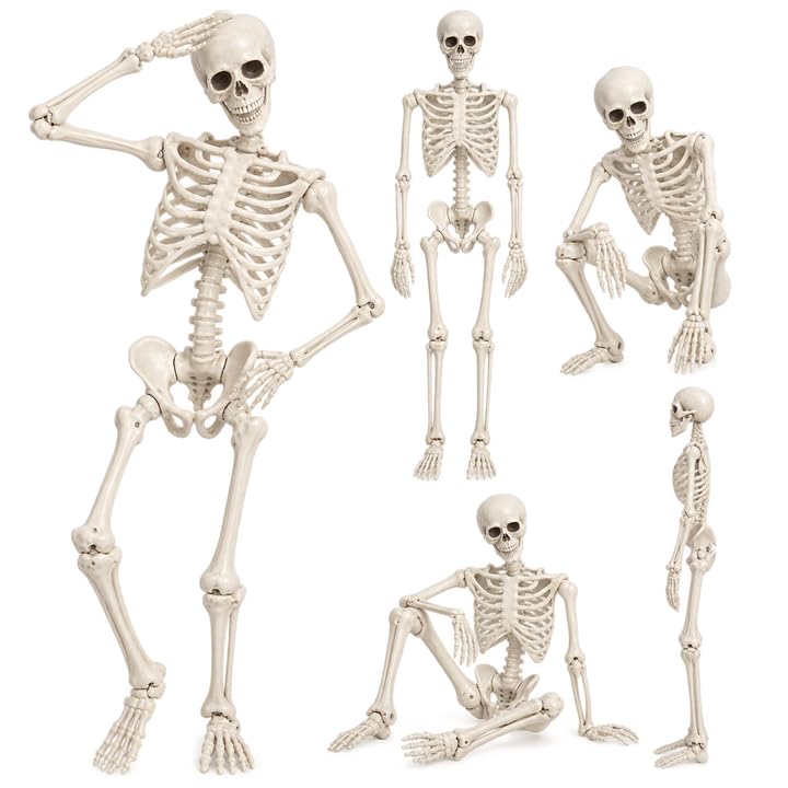 5.4FT Poseable Skeleton with Flexible Joints Q767990