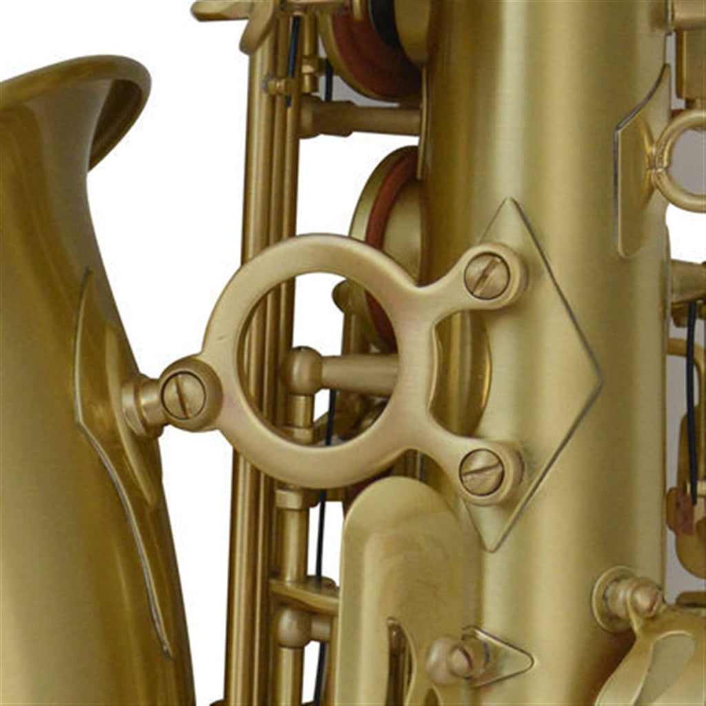 Alto Saxophone in E-Flat Saxophone Set K9444