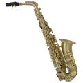 Alto Saxophone in E-Flat Saxophone Set K9444