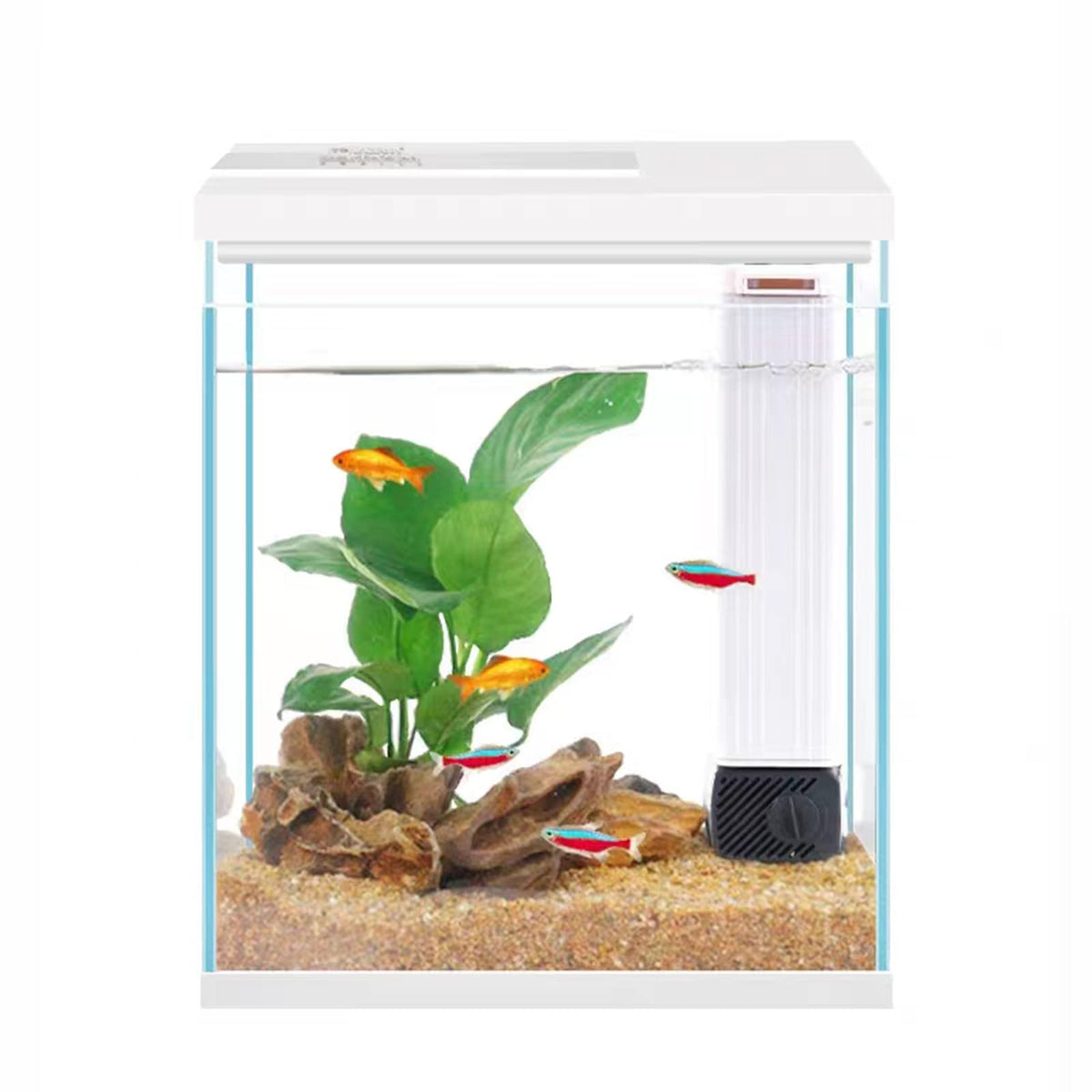 2 Gallon Glass Aquarium Starter Kit with Filter and Light I5057