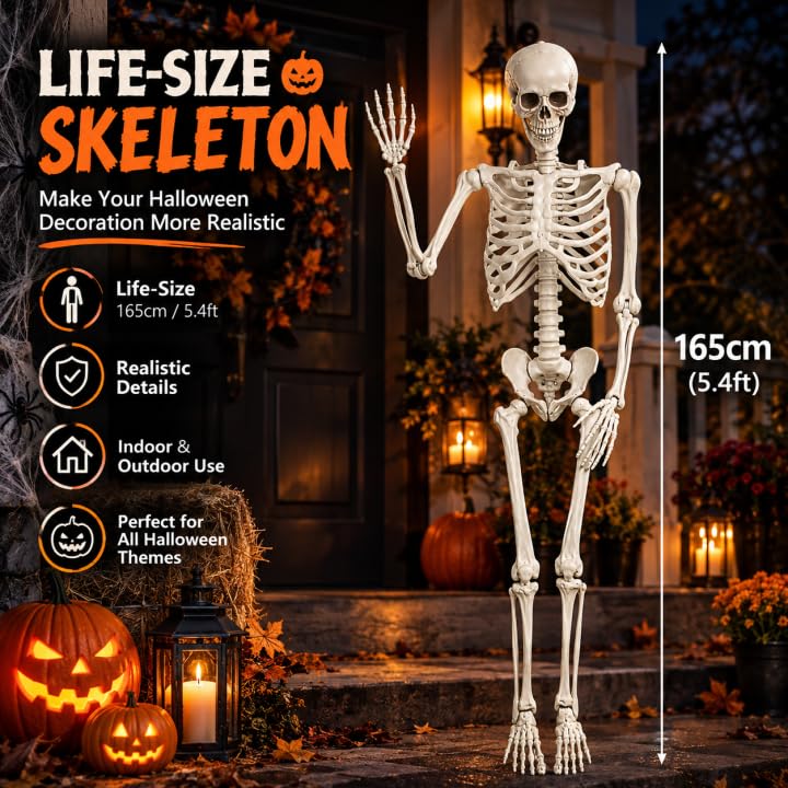 5.4FT Poseable Skeleton with Flexible Joints Q767990