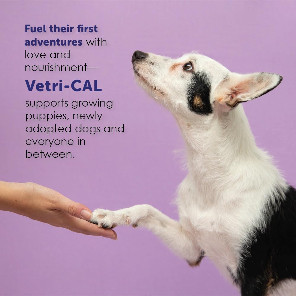 High Calorie Nutritional Gel for Dogs and Cats 5 oz H36921