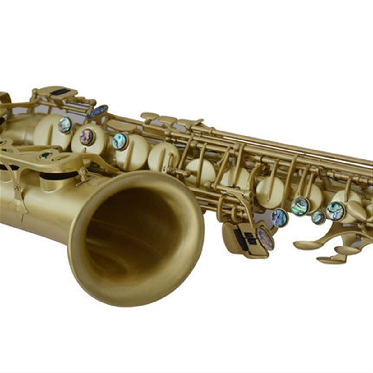 Alto Saxophone in E-Flat Saxophone Set K9444