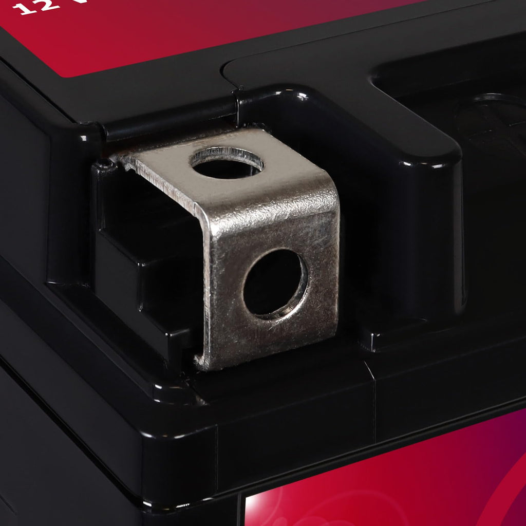 12V 11.2AH 230CCA Battery I418