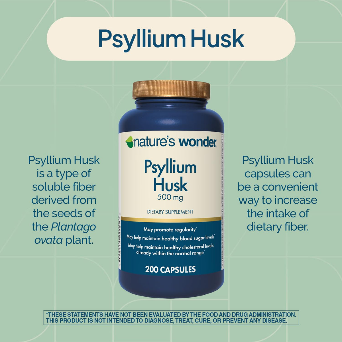Psyllium Husk 500 mg Capsules 200 Count E84505
