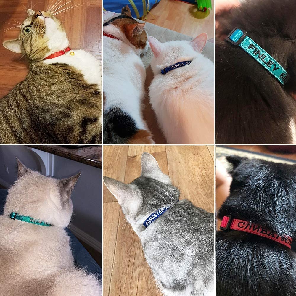Nylon Cat Collar Breakaway with Bell R460251