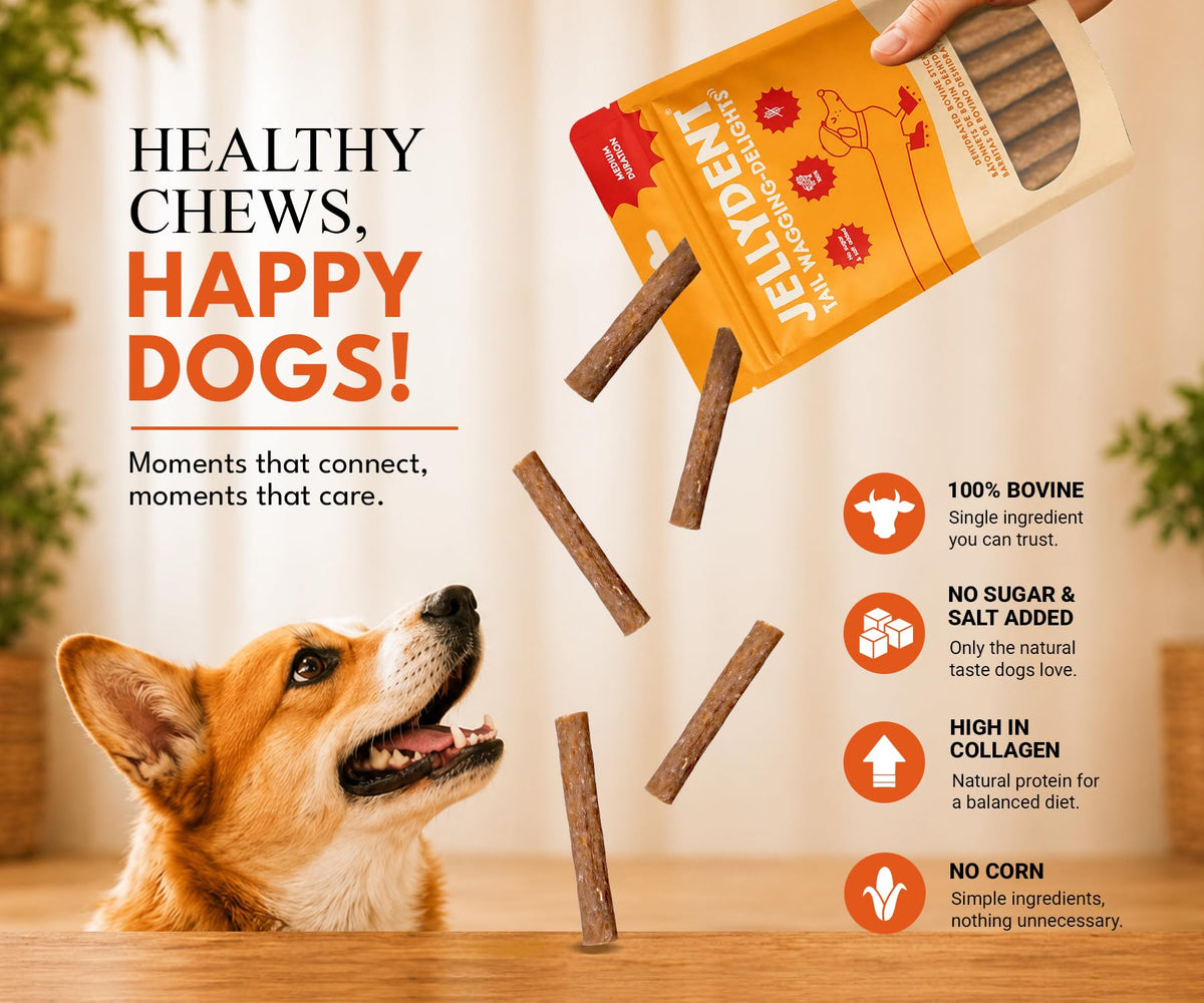 Single Ingredient Beef Collagen Dog Dental Chews 10 Count N754