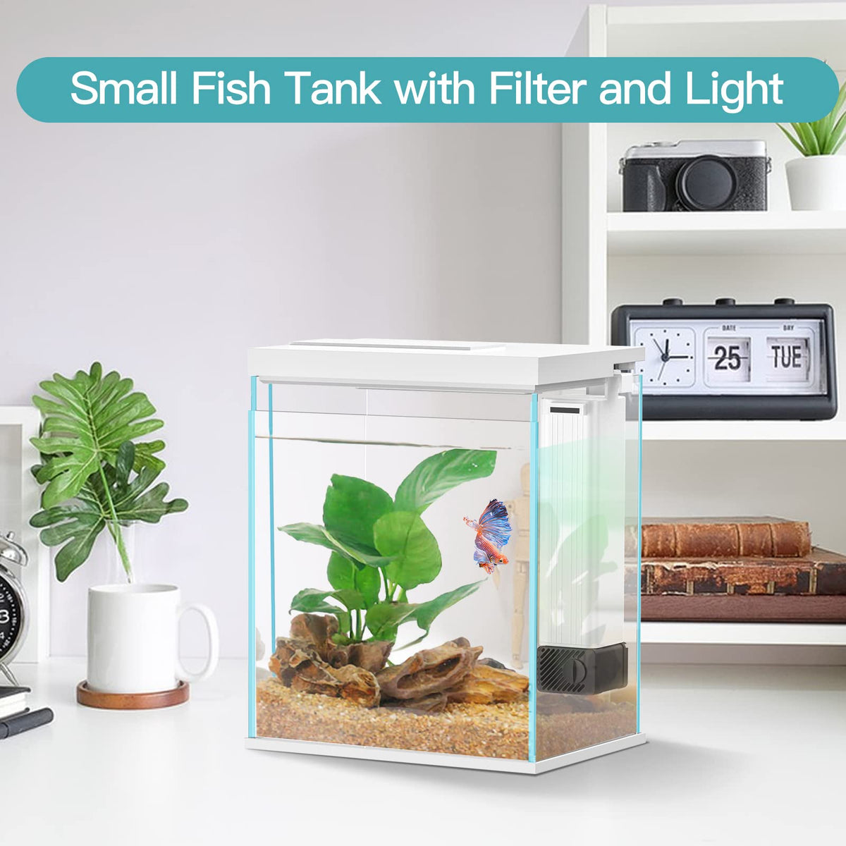 2 Gallon Glass Aquarium Starter Kit with Filter and Light I5057
