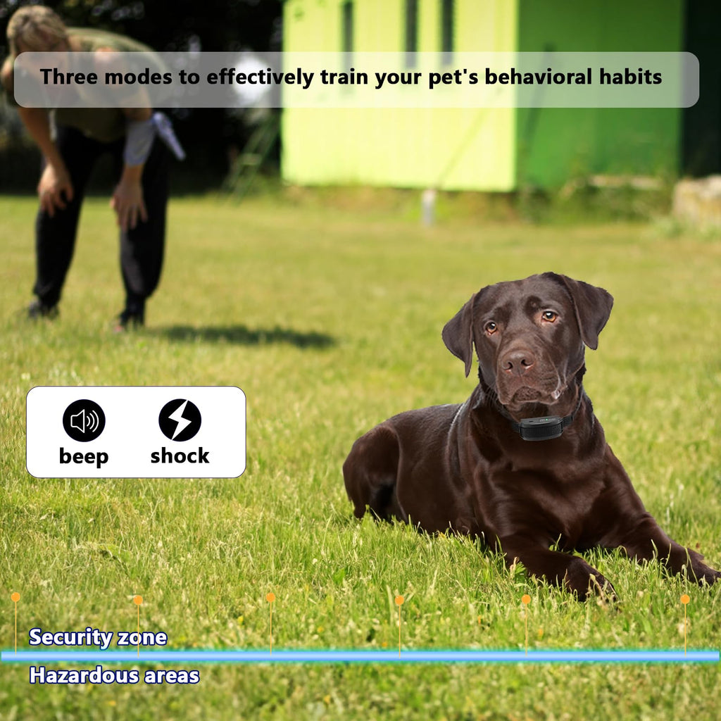 In-Ground Electric Dog Fence System for 2 Dogs W828010