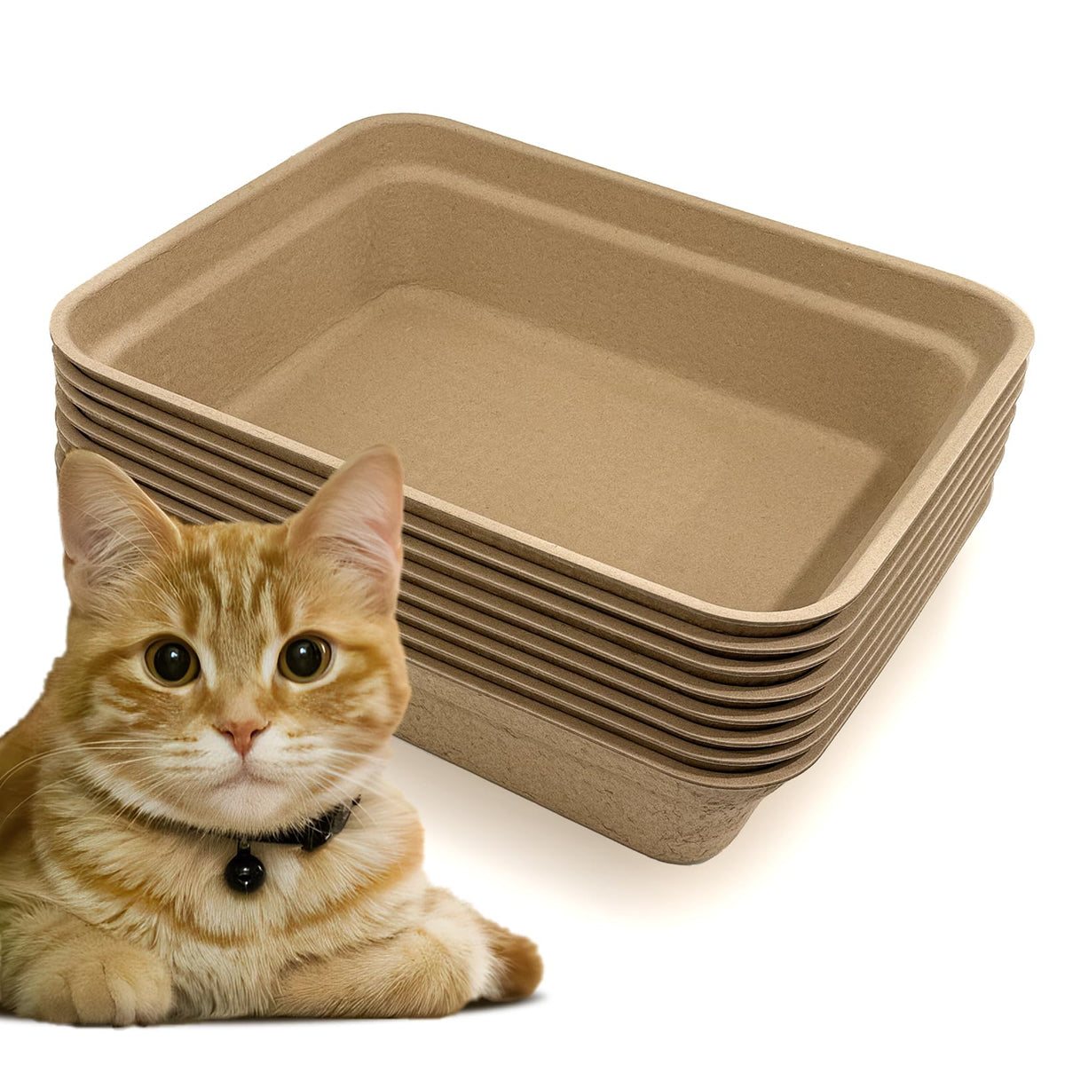 8 Pack Disposable Cat Litter Box W7828
