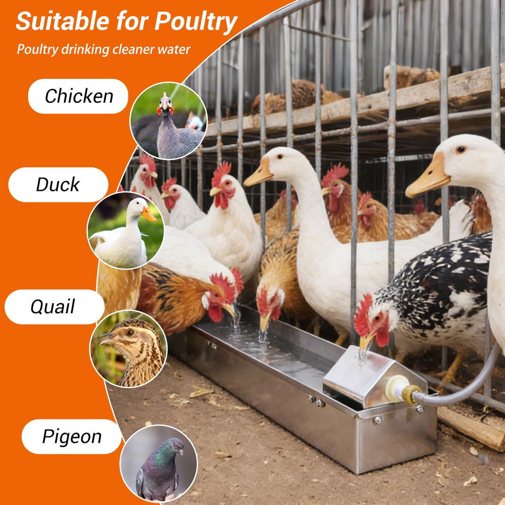 1 Gallon Stainless Metal Automatic Chicken Waterer Dispenser G601773