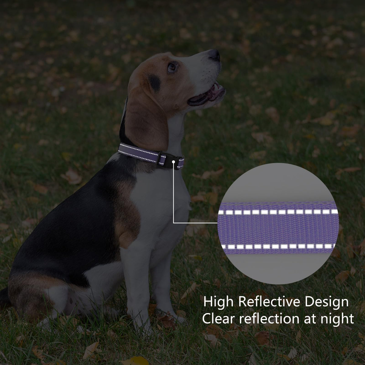 Reflective Adjustable Nylon Dog Collar D6778