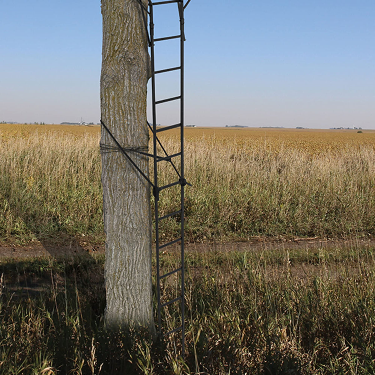 2 Person 18 Foot Tall Portable Hunting Tree Ladder Stand (2 Pack) D869
