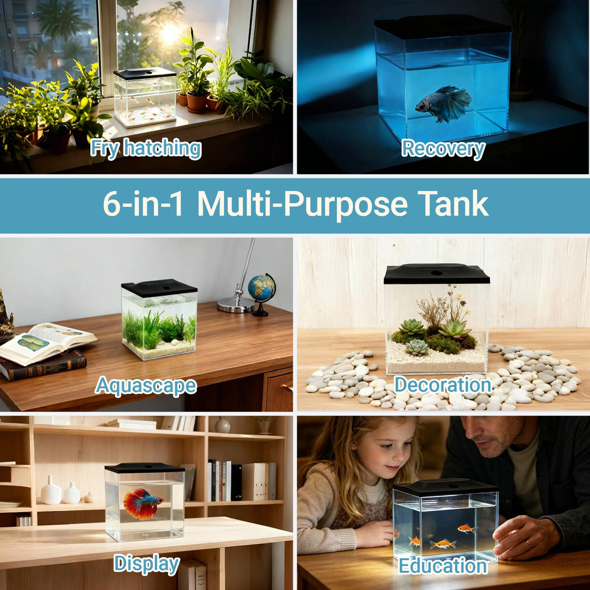 0.8-Gallon Small Plastic Fish Tank with LED Lighting S256