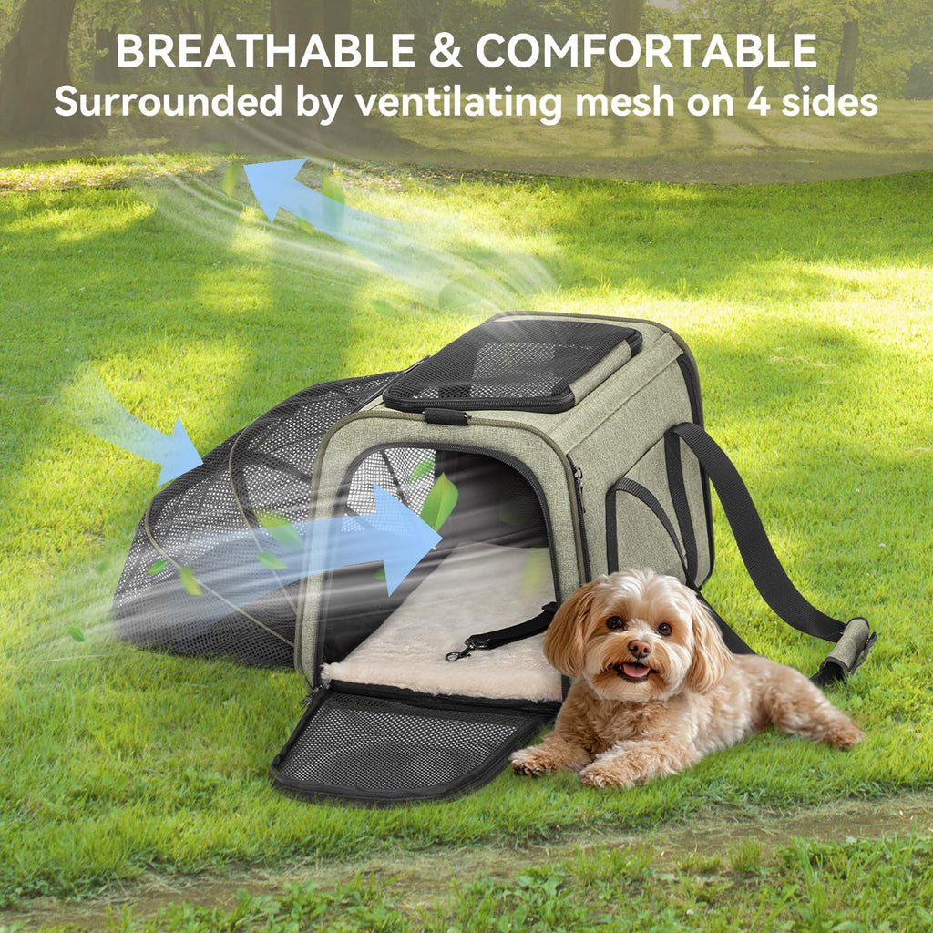 Expandable Cat Carrier B863633