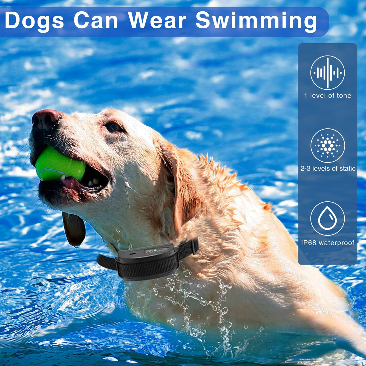 In-Ground Electric Dog Fence System for 2 Dogs W828010