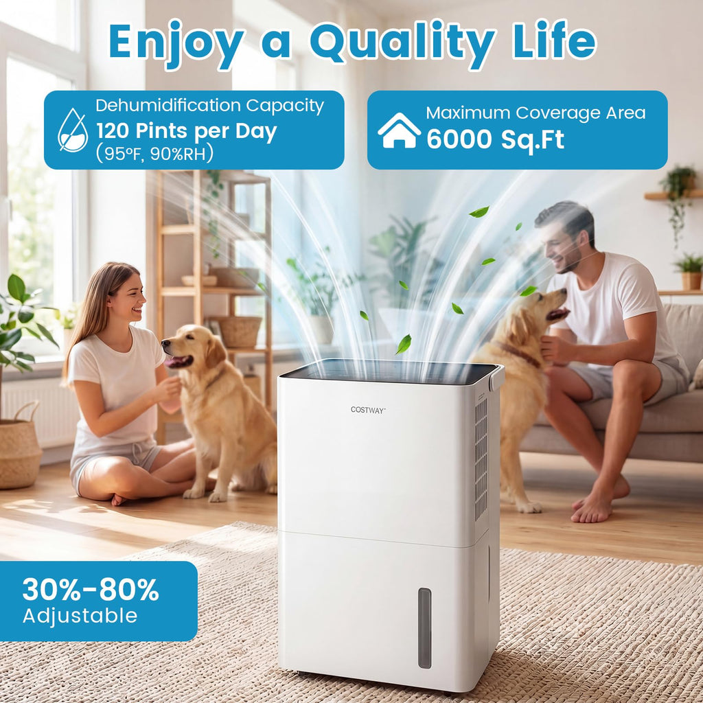 6000 Sq.Ft Compressor Dehumidifier L2883
