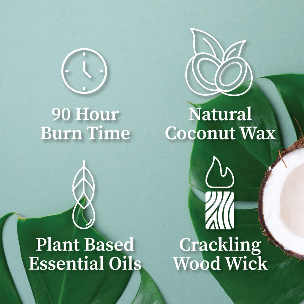 16 oz Wood Wick Candle F90428