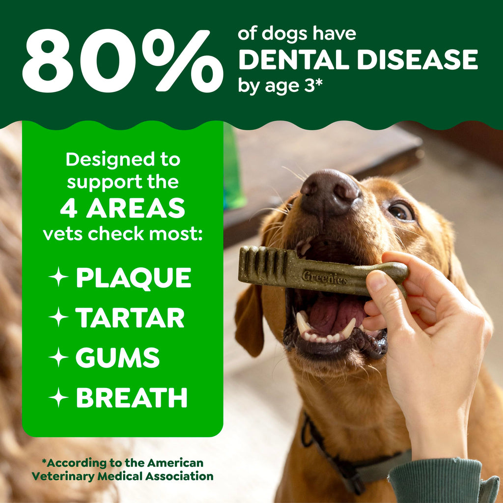 Chicken Dental Dog Treats 43 Count F95586