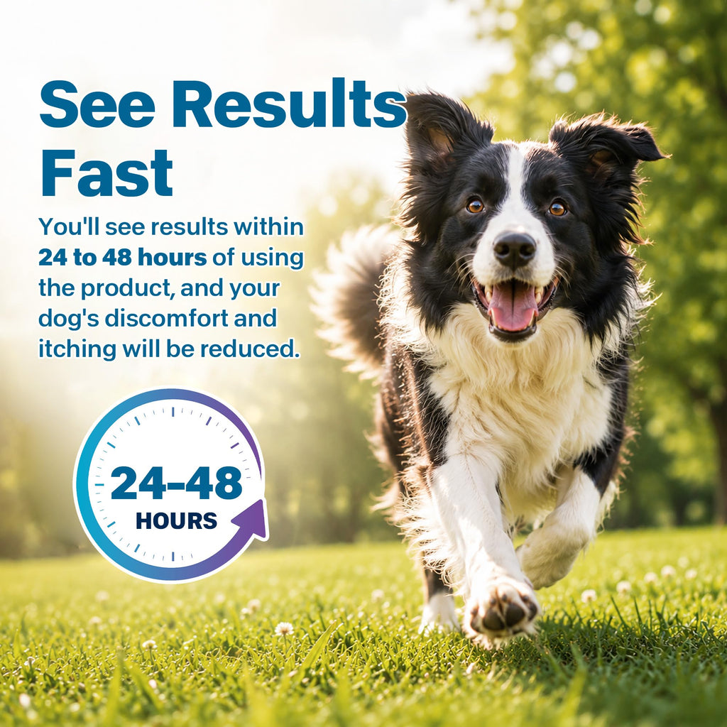Flea and Tick Prevention for Medium Dogs 23-44 lbs 6 Doses T17504