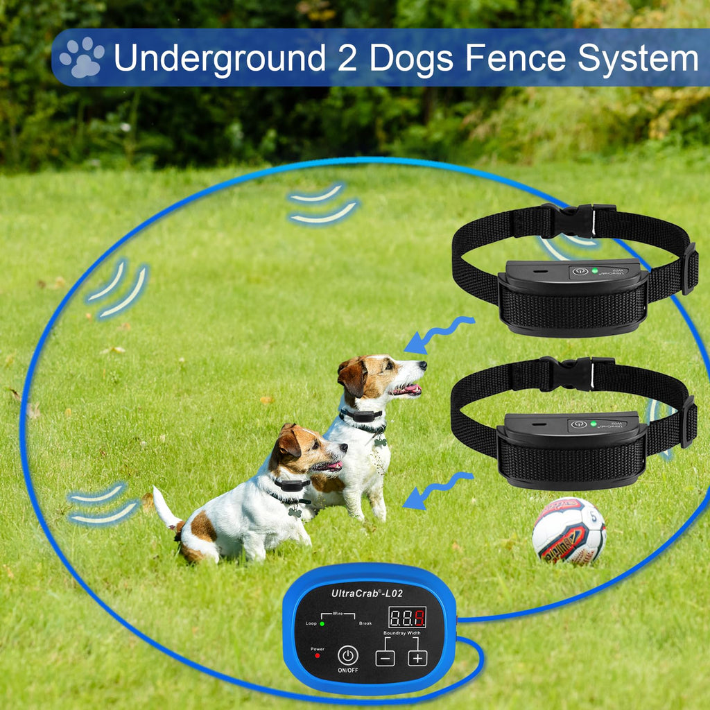 In-Ground Electric Dog Fence System for 2 Dogs W828010
