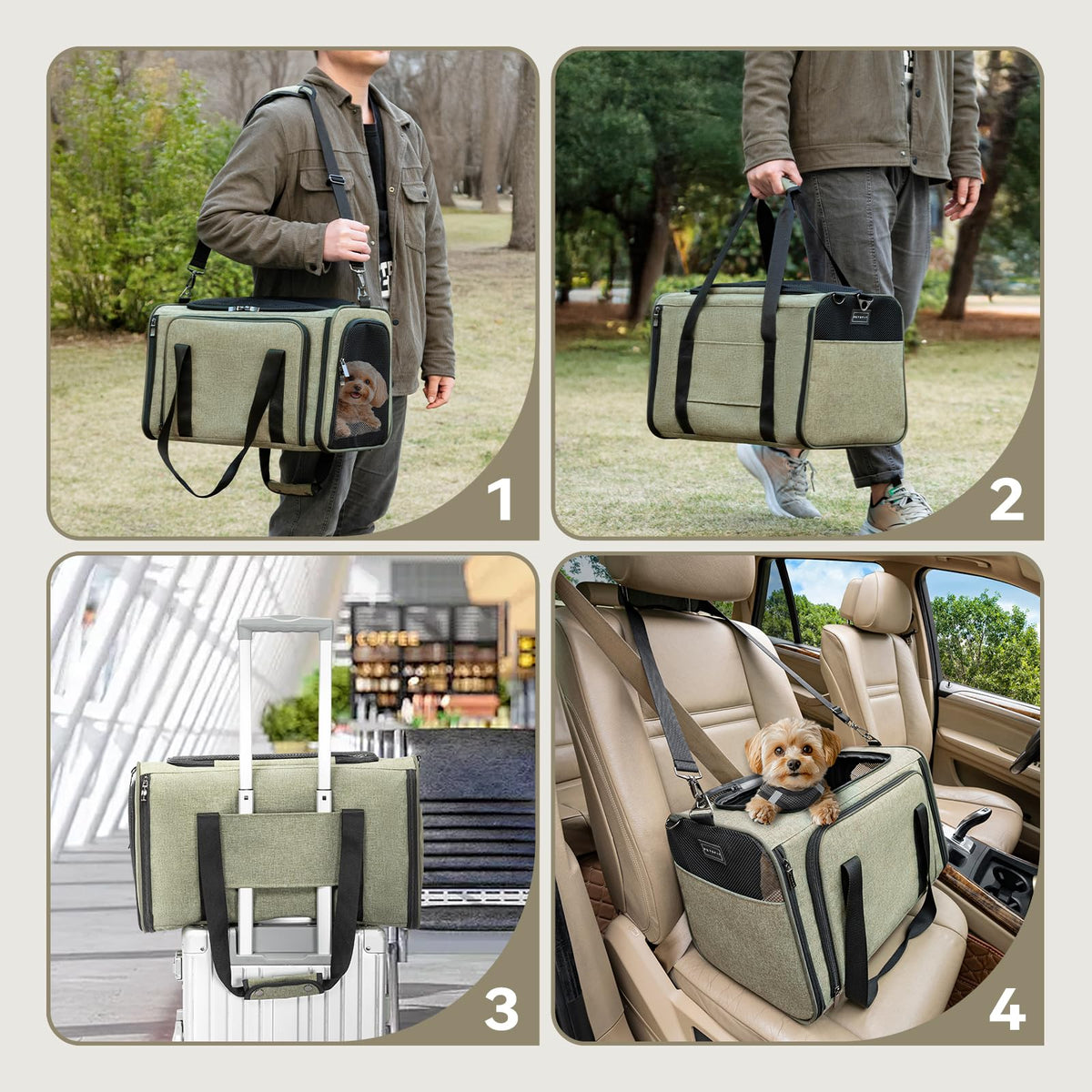 Expandable Cat Carrier B863633