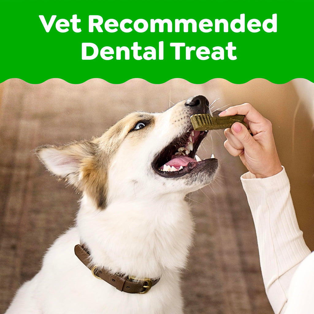 Chicken Dental Dog Treats 43 Count F95586