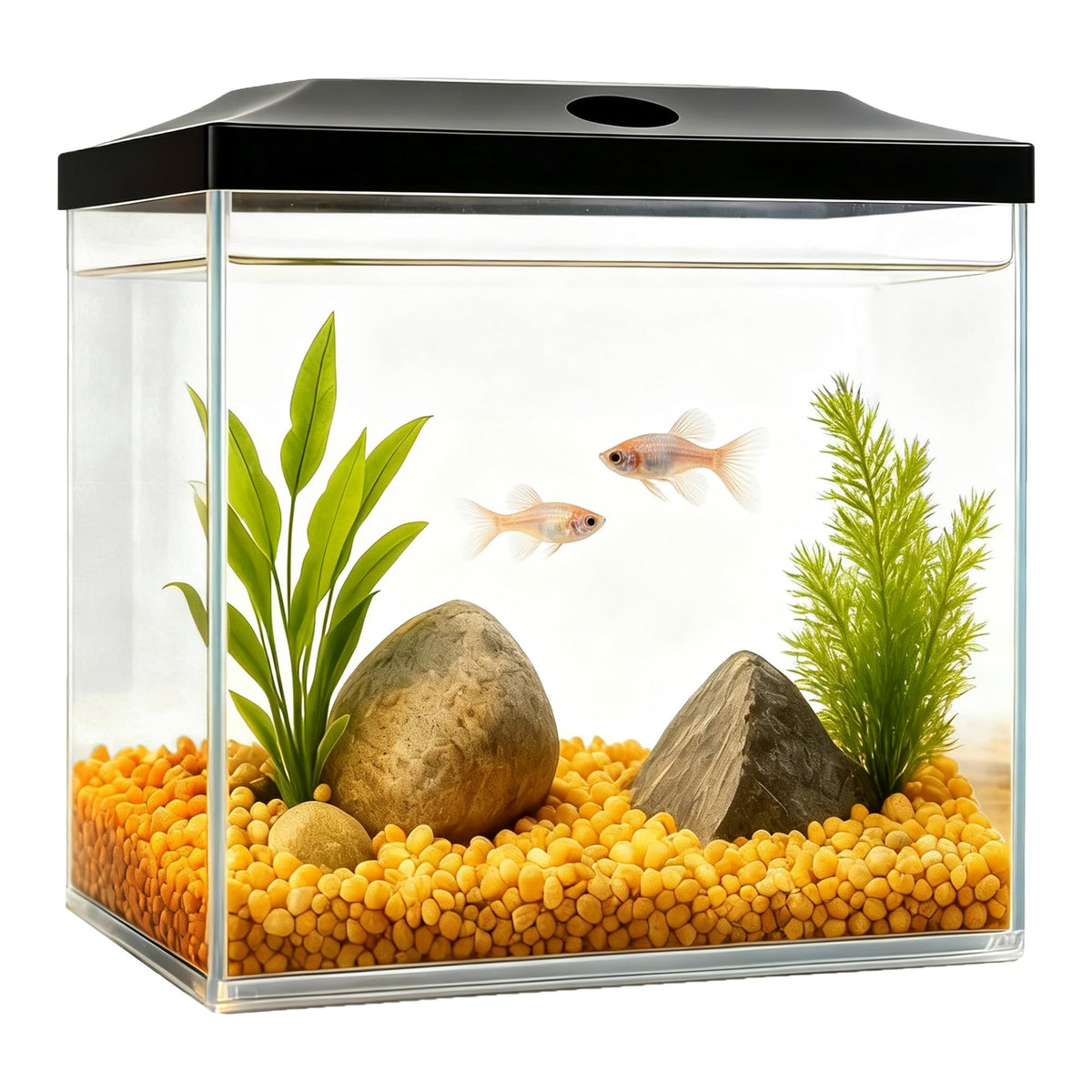 0.8-Gallon Small Plastic Fish Tank with LED Lighting S256