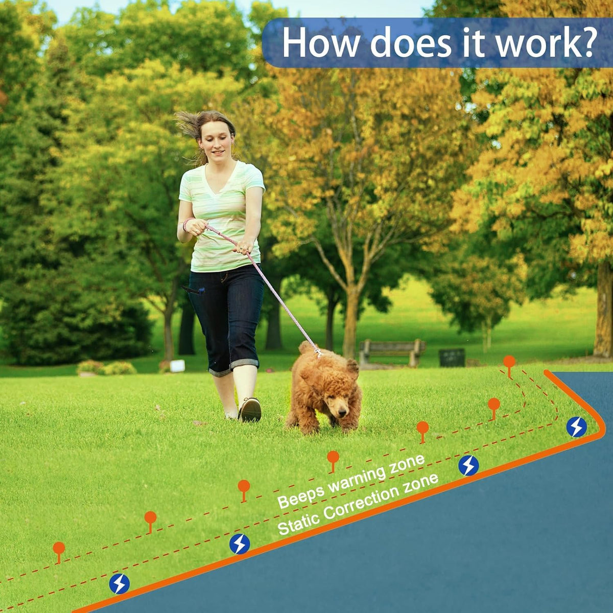In-Ground Electric Dog Fence System for 2 Dogs W828010