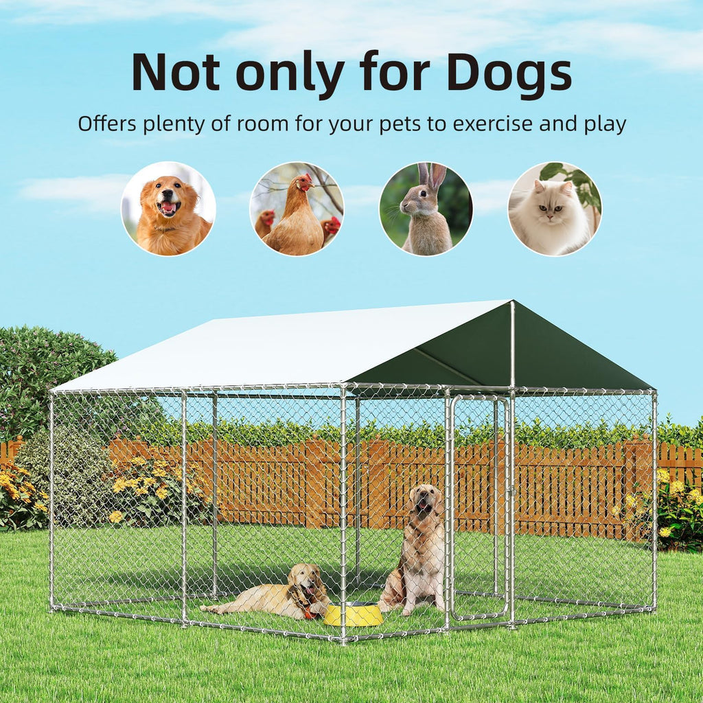 10'x10' Heavy Duty Outdoor Dog Kennel Y775