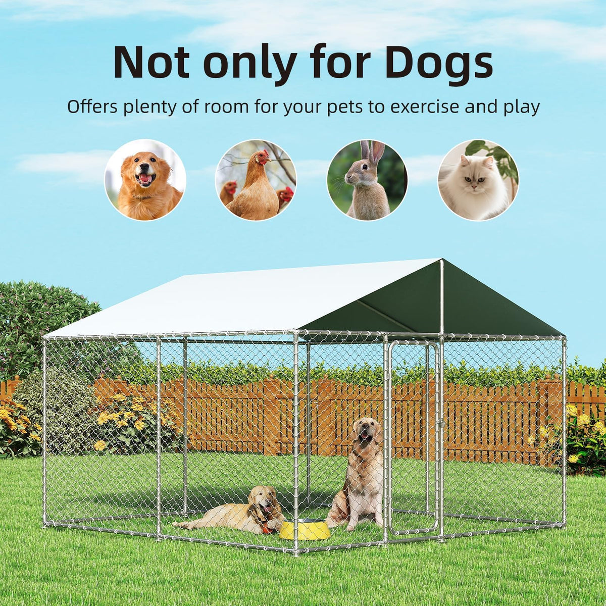 10'x10' Heavy Duty Outdoor Dog Kennel Y775